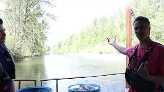 Year of the Salmon: The Salmon Count