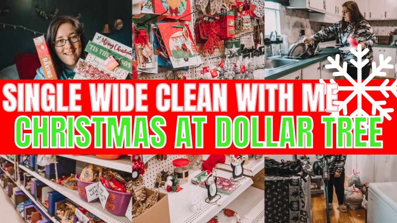 SINGLE WIDE MOBILE HOME CLEAN WITH ME DOLLAR TREE SHOP WITH ME & HAUL