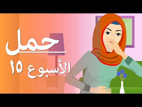 فيديو: ماذا يحدث بعد 15 أسبوعًا من الحمل