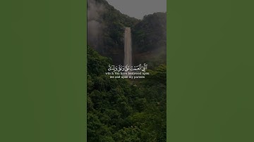 فتبسم ضاحكاً من قولها بصوت إسلام صبحي من سورة النمل