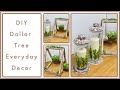 🌿 High-End Dollar Tree DIYs | Everyday Farmhouse Decor | Home Decor 2020 | Simple DIYer