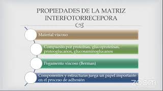 Mecanismo De Adecion Normal De La Retina