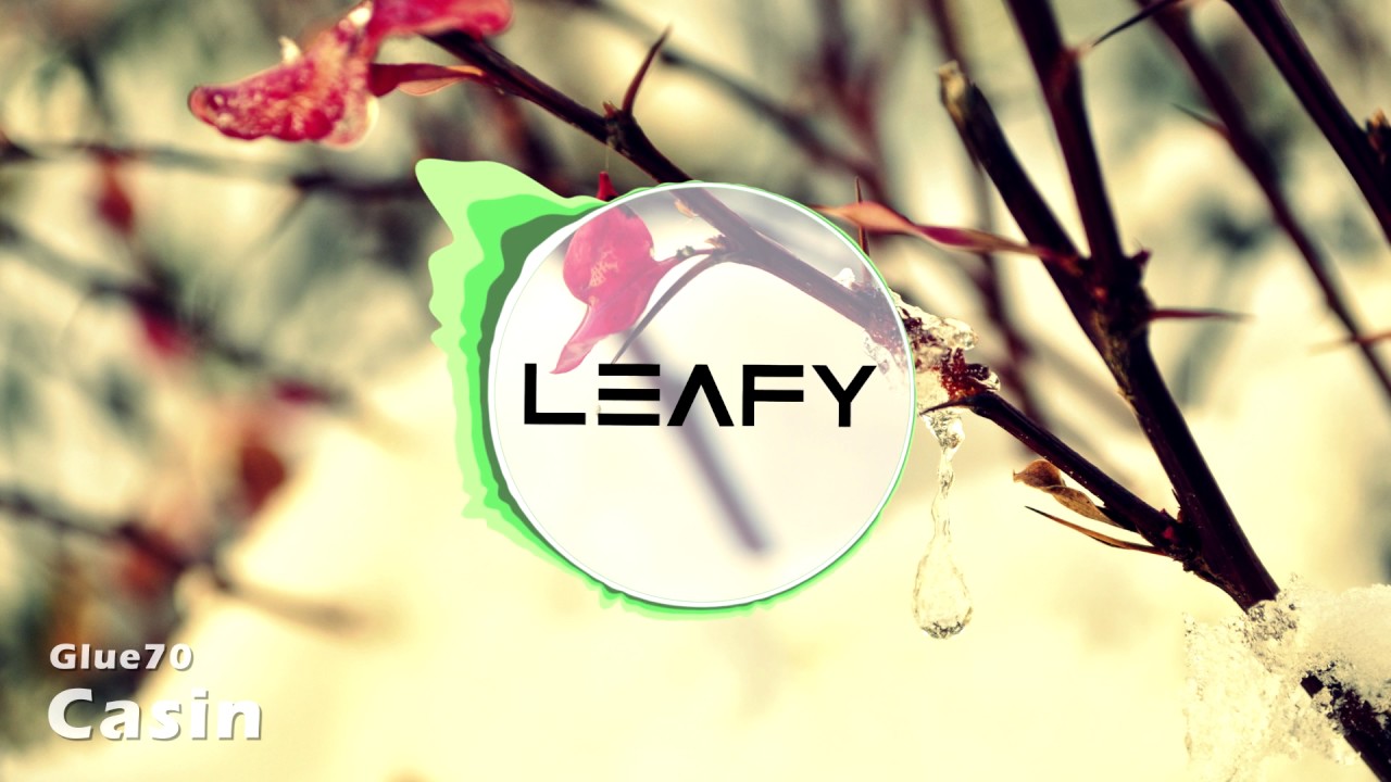 Glue70 - Casin (LeafyIsHere Intro 2015)