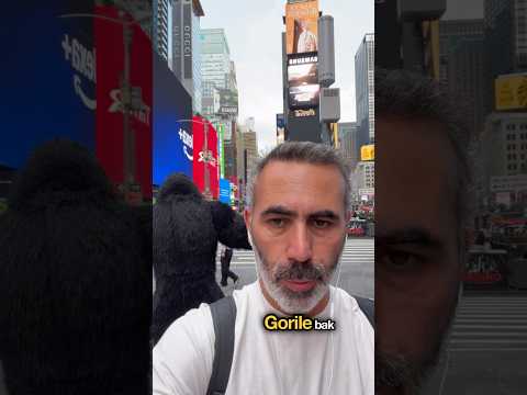 Sizi kurtaracağım