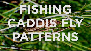 Fish Tech Tip: Fly Fishing Adult Caddis Patterns