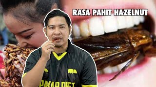 Ini Sebenarnya Rasa Makan Lipas