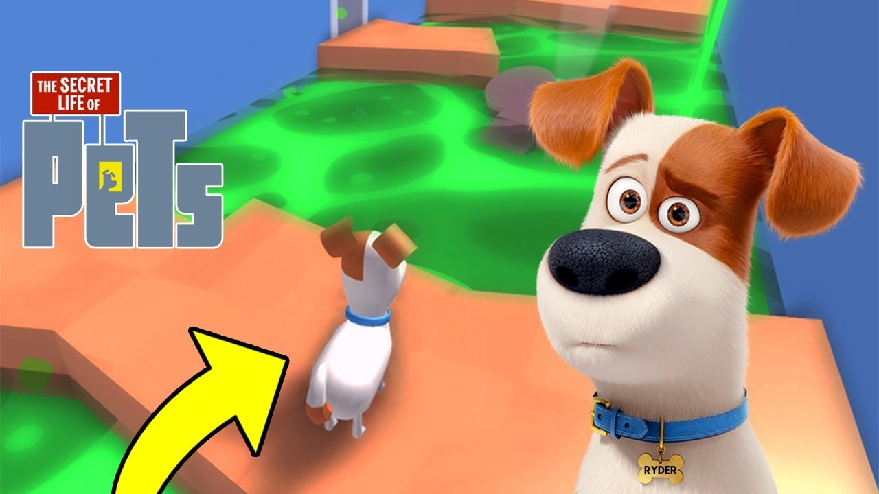 Escape The The Secret Life Of Pets Roblox Obby Youtube ...