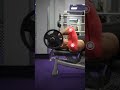 ✅ The PERFECT Skull Crusher #tricepsworkout #exercisetips #tipsandtrick