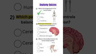 Anatomy Quiz #facts #viral #humanbody
