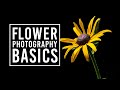 Flower photography tips for beginners  macro photography ideas