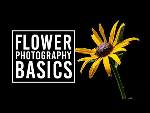Video: Photographing Flowers - A Quick Guide To Flower Photography In The Garden