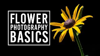 Flower Photography Tips for Beginners & Macro Photography Ideas