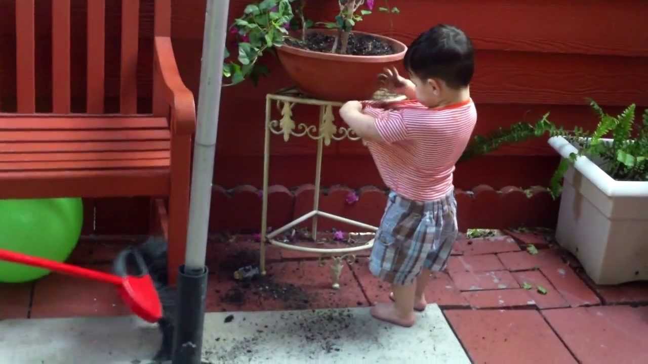 taking a dirt bath stripes imdb
