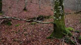 LA MAGIA DE QUINTO REAL.wmv