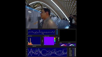 Train Station Eye and Mind Tracking