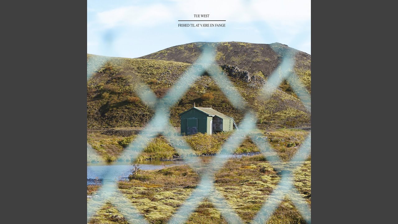 Det Er Stadig Vores Stemmer