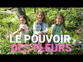 Les sophies  le pouvoir des fleurs