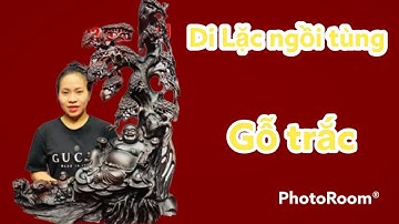 Tượng gỗ : Di Lặc ngồi dưới gốc cây  tùng gỗ trắc | Ý nghĩa tượng di lặc ngồi cây tùng | XTG