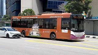 (Pollen Collection II Full Body Advertisement) SBS8901Z(BBDEP) On Service 48 At Rochor Canal Road 