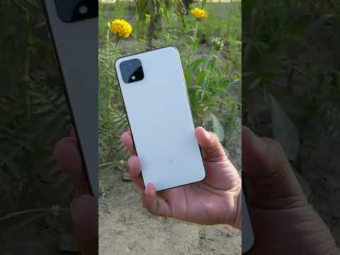 Google Pixel 3xl vs Pixel 4xl Camera portrait comparison - 4xl vs 3xl portrait mode comparison