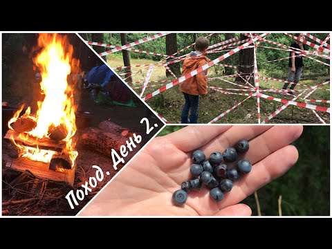 ПОХОД В ЛЕС.