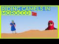 Tips for Riding Camels 🐪 in the Sahara Desert 🇲🇦