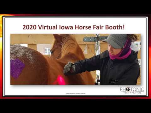 Targeted Light Therapy for your Horse! 2020 Virtual Iowa Horse Fair Booth! Amazing testimonials!