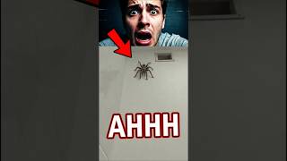 Arachnophobia Test Level 99