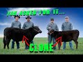 How I Clone.     #clone #howto #reproduction