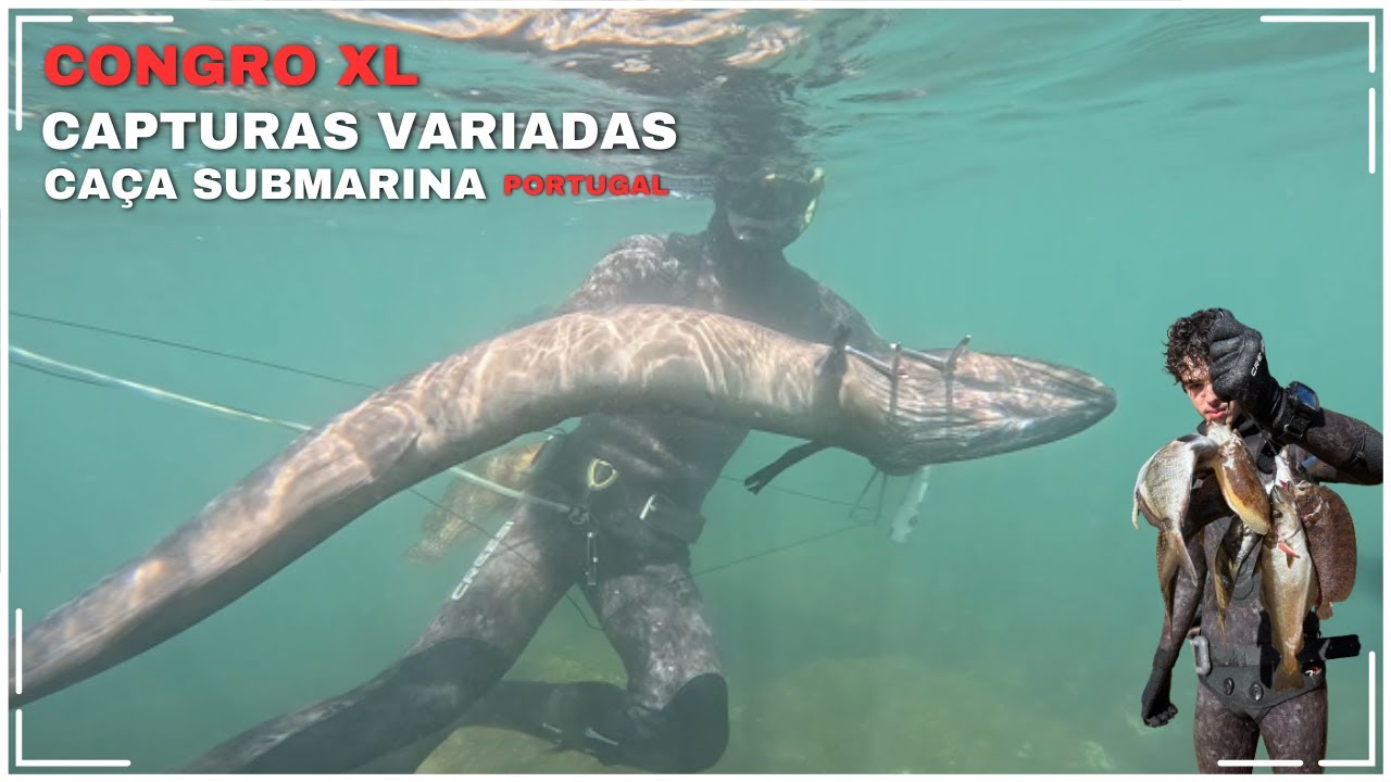 Caça variada CONGRO XL (caça submarina PORTUGAL)