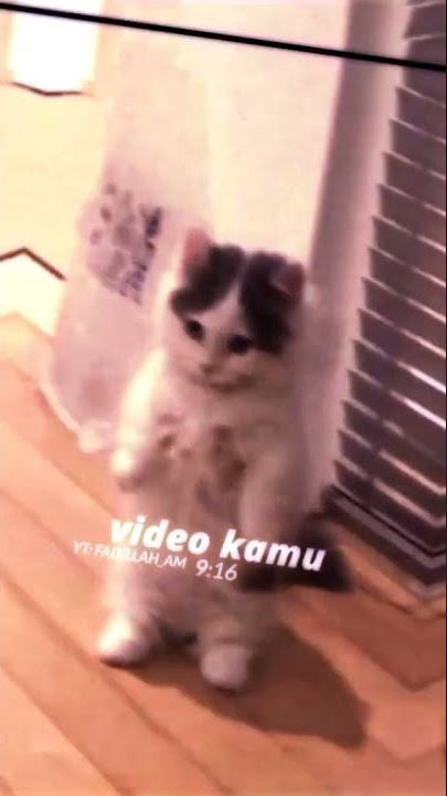 ciss dulu virtual