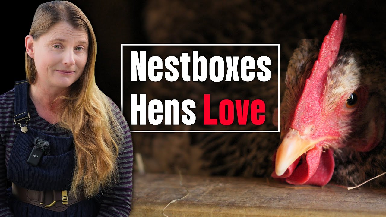 Простые трюки с гнездами, которые понравятся вашим курам