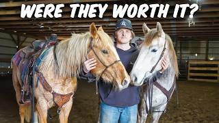 I Bought Horses Across the Country. Was it worth it?
