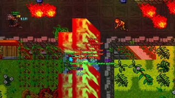 MAGEWAR | - CHILE PVP - | TIBIA 8.6 | Venore Chileno #1