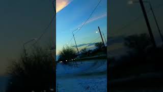 Chatter of sparrows. Nature is the art... Essences of nature piece.  "Auctor rerum creatorum". PEACE