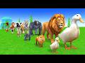 Long Slide Game with Cow Elephant Gorilla Hippopotamus Tiger 3d Animal Game Funny 3d Animals