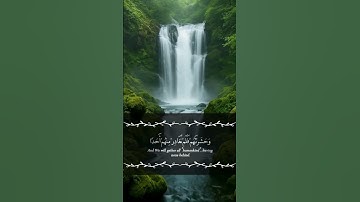 تلاوة مؤثرة للآية 46 من سورة الكهف | "الْمَالُ وَالْبَنُونَ زِينَةُ الْحَيَاةِ الدُّنْيَا"