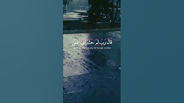 سوره طه القارئ مالك احمد