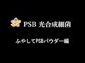 ふやしてPSB パウダーを使って PSB 光合成細菌を培養 / 桜めだか