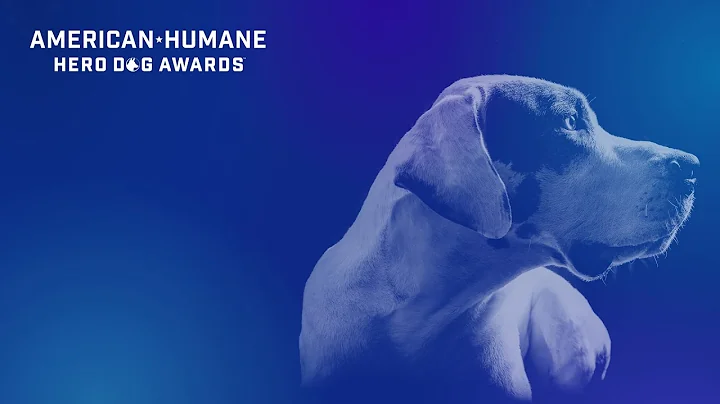 [FULL SHOW] 2022 American Humane Hero Dog Awards | Broadcast Show