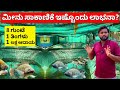         fish farm karnataka  tilapia fish  jilebi fish farm