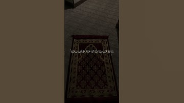 تلاوة خاشعة للشيخ ماهر المعيقلي #القرآن_الكريم #راحة_نفسية