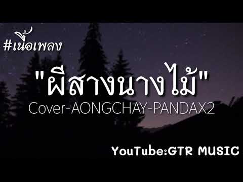 ผีสางนางไม้ - บุ๊ค ศุภกาญจน์ Cover - AONGCHAY - PANDAX2 [ เนื้อเพลง ]