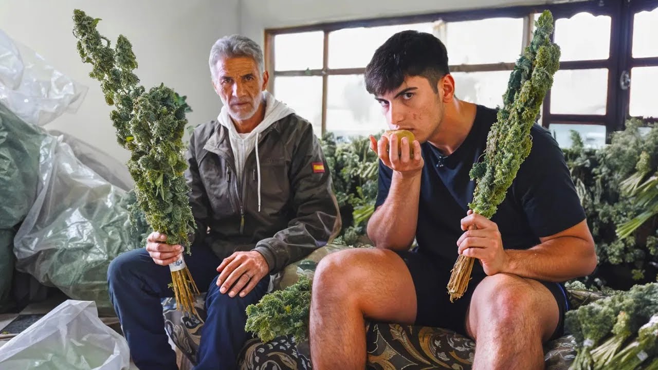 الحياة المظلمة لتجار الحـشيـ-ـش: قصة لم ترو