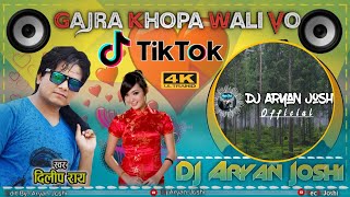 Gajra Khopa Wali Vo | Cg Dj Remix Song | Dilip Ray New Cg Song_Dj Aryan Joshi