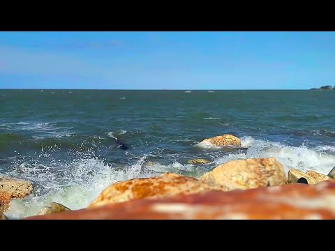 ASMR para uma NOITE RELAXANTE com sons da Natureza