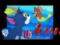 Tom & Jerry | Fishy Adventures 🦈 | Classic Cartoon Compilation | @WB Kids