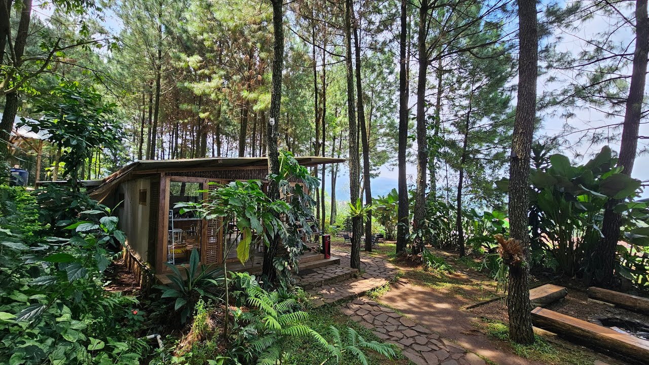 Ngopi di Tengah Hutan Pinus! 🌲 Ruang Sesama Baros Arjasari: Hidden Gem Bandung yang Syahdu