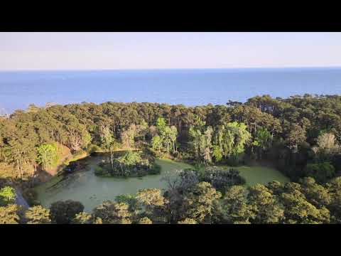 Graham Sharp - "Come Visit My Island" (Official Video)