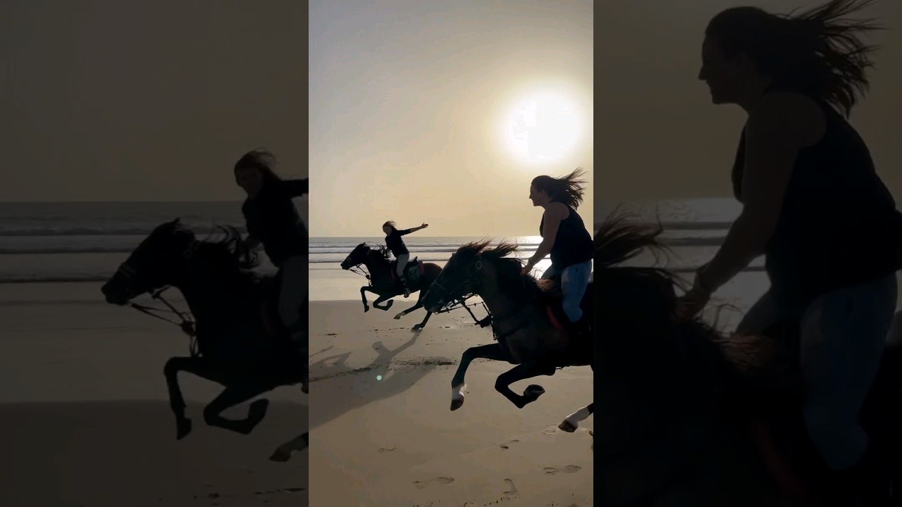 Grand Galop sur la plage avec Jimi & Montana 🔥 qui est cap ?  ~ Amazir Cheval Horses